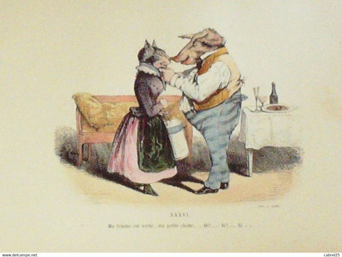 Gravure Grandville "Les Métamorphoses du jour" XXXVIB Chat Sanglier 1847