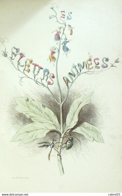 Grandville "Les Fleurs Animées" Traite Des Fleurs 1847