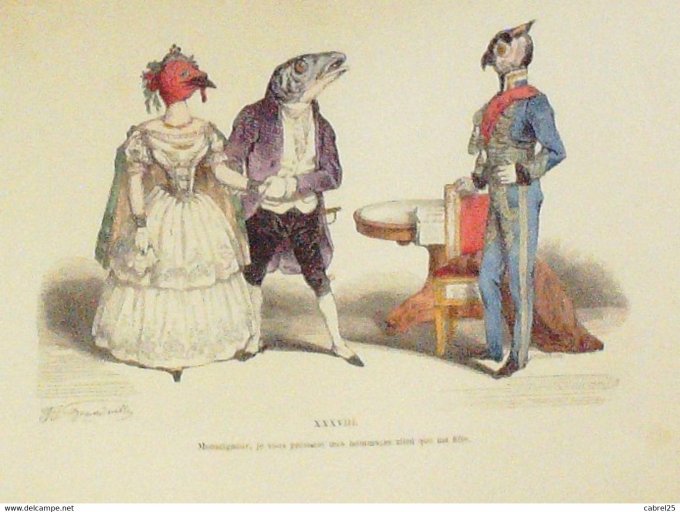 Gravure Grandville "Les Métamorphoses du jour" XXXVIII Chouette Poisson Poule 1847