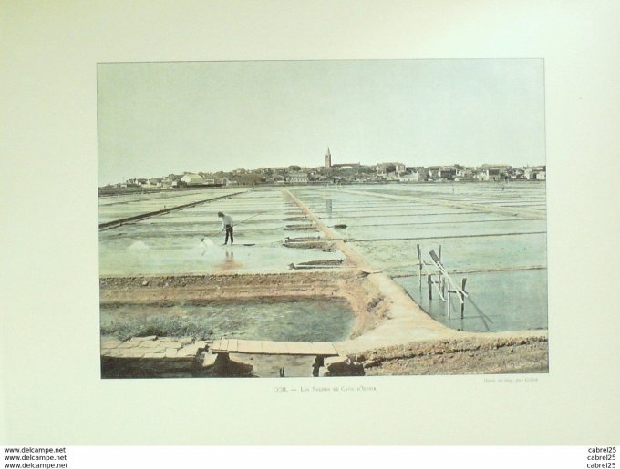 Slovénie SALINES de CAPO D'ISTRIA