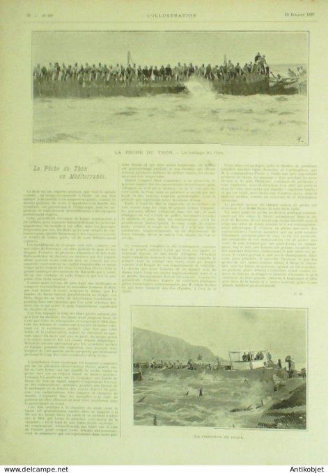 L'illustration 1897 n°2837 Martinique-St-Pierre Pêche au thon Henri Meilhac Rome Vatican