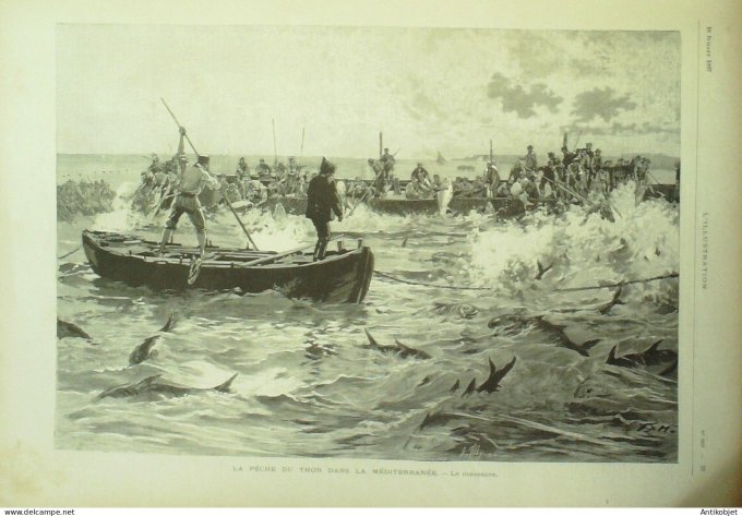 L'illustration 1897 n°2837 Martinique-St-Pierre Pêche au thon Henri Meilhac Rome Vatican
