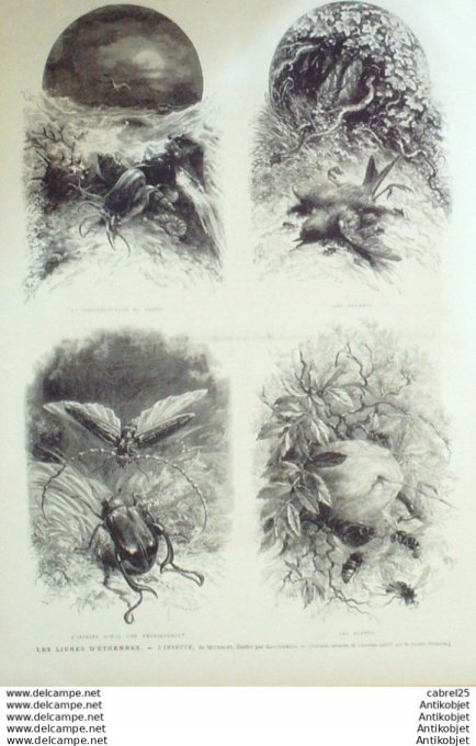 Le Monde illustré 1875 n°974 Toulon (83) Valenciennes (59) Carpeaux