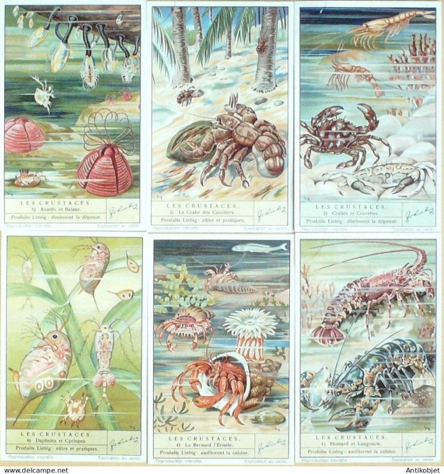 Chromo Liebig Sang 1373 Les crustaces (1938)