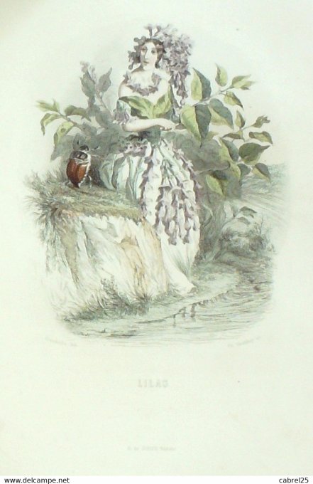 Grandville "Les Fleurs Animées" Verveine 1847