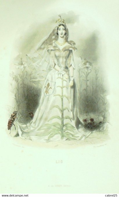 Grandville "Les Fleurs Animées" Violette 1847