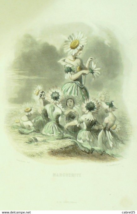 Grandville "Les Fleurs Animées" Marguerite 1847