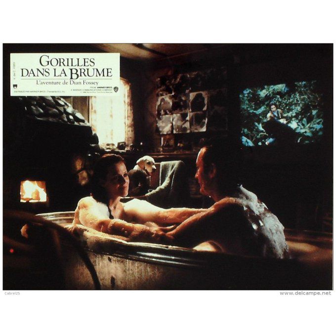 Gorilles Dans La Brume Julie Harris Brown Weaver Sigourney 1988
