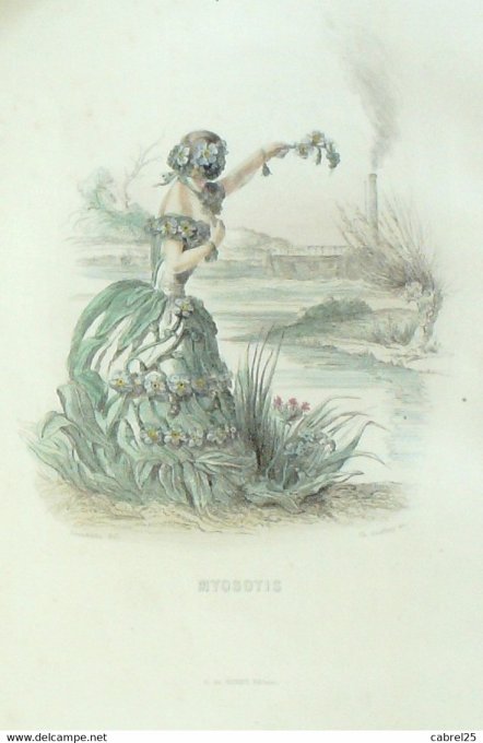 Grandville "Les Fleurs Animées" Myosotis 1847