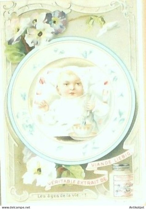 Chromo Liebig Sang  518 Papillons d'Europe centrale 2 (1897)