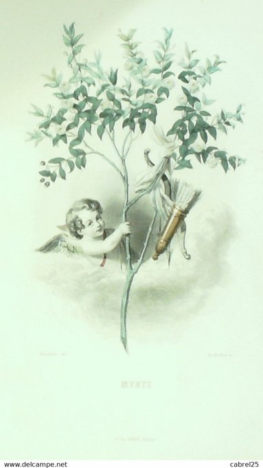 Grandville "Les Fleurs Animées" Myrte 1847