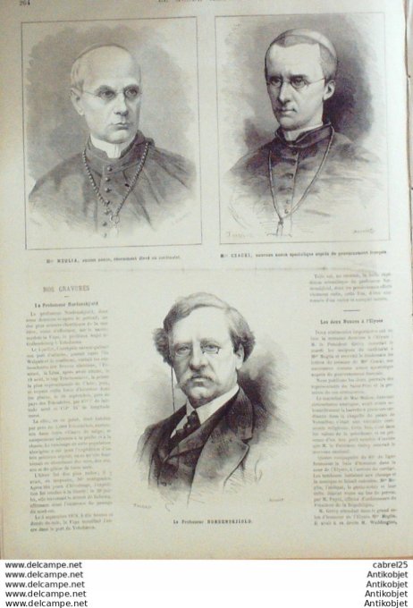 Le Monde illustré 1879 n°1178 Afrique Du Sud Zoulouland Roi Cettiwayo Durnfort Nouvelle Calédonnie P