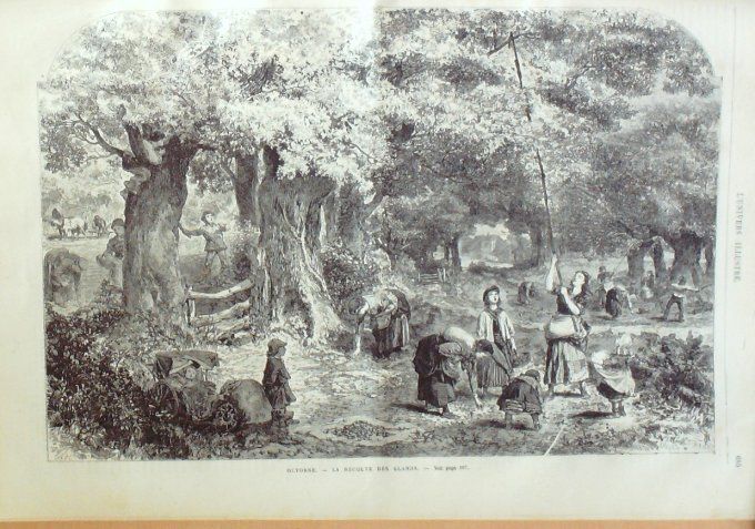 L'Univers illustré 1869 # 771 Italie Limone Tyrol Constantinople Bosphore Glands récolte