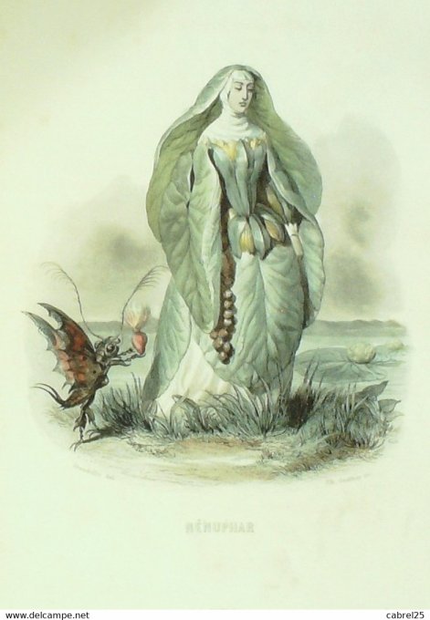 Grandville "Les Fleurs Animées" Nenuphar 1847