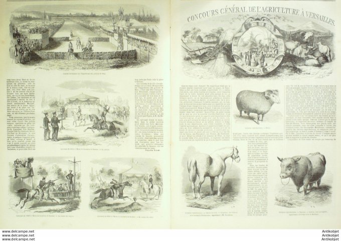 L'Illustration 1850 n°399 Belgique BRUGES Syrie CHASSE SAUMUR (49) VERSAILLES (78)
