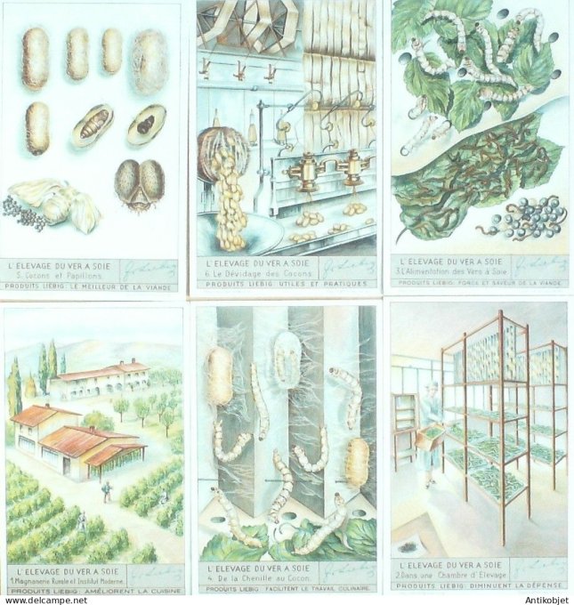 Chromo Liebig Sang 1370 L"elevage du ver de soie (1938)