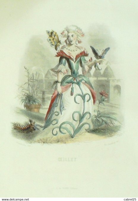 Grandville "Les Fleurs Animées" Oeillet 1847