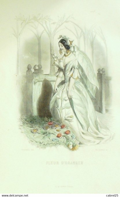 Grandville "Les Fleurs Animées" Oranger 1847