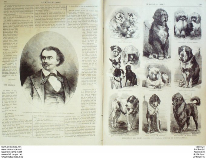 Le Monde illustré 1868 n°636 Pays-Bas Iserlohm Berg Mark Espagne Madrid Races Canines & Felines