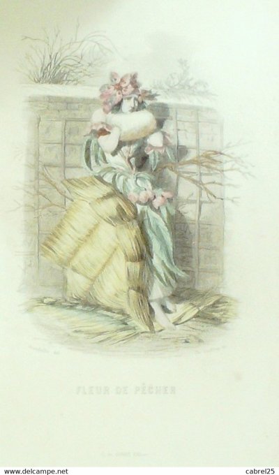 Grandville "Les Fleurs Animées" Pecher 1847