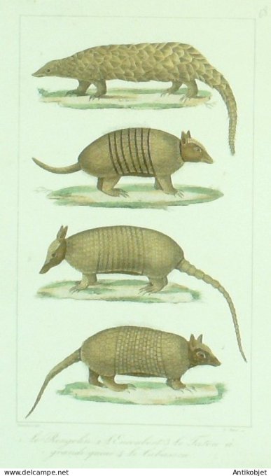 Rengolin Encoubert fatou Cabassou 1833 Vauthier-Buffon