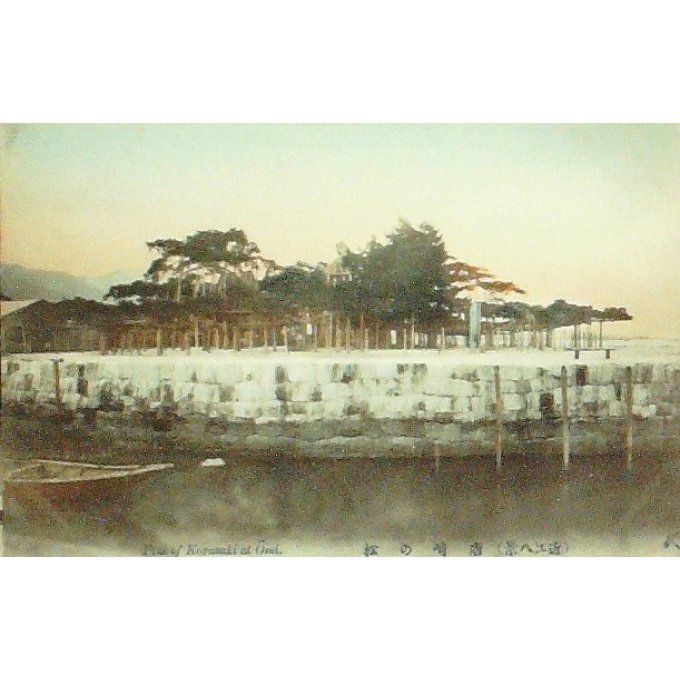 Cpa Japon Pins De Karasaki D'omi 1920