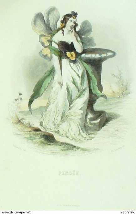 Grandville "Les Fleurs Animées" Pensee A 1847