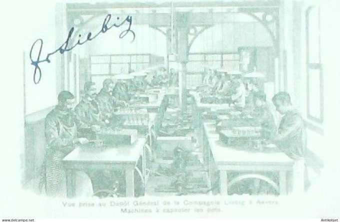 Chromo Liebig Sang  754 Le Royaume de l'aiguille IV (1903)