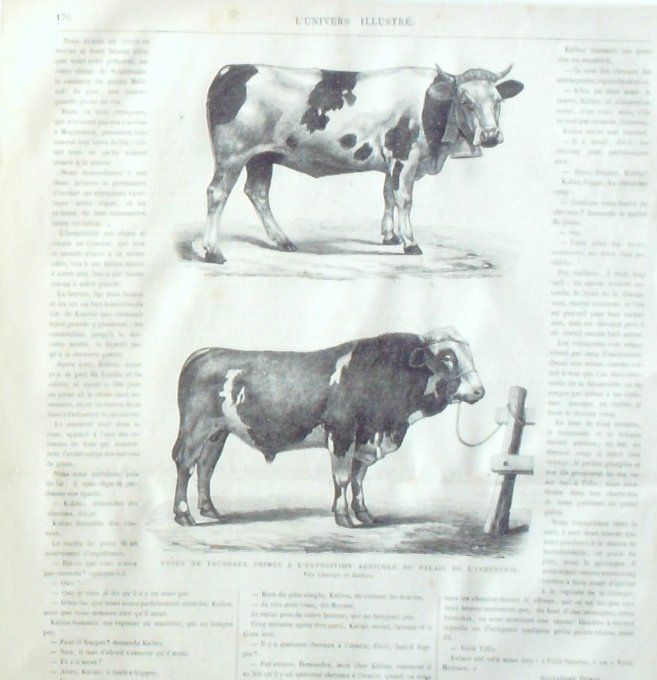 L'Univers illustré 1870 # 791 Italie Rome Basilique Pologne Cracovie Hongrie uniformes Honveds