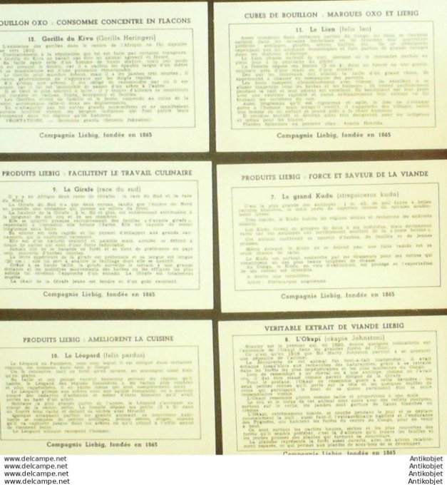 Chromo Liebig Sang 1349b Congo Animaux sauvages 2 7-12 (1937)