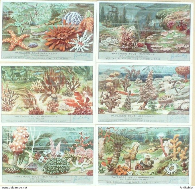 Chromo Liebig Sang 1345 Paysages sous-marins (1936)