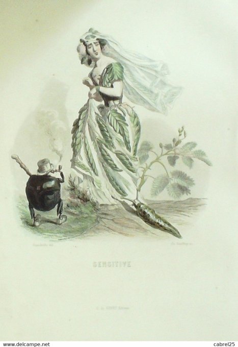 Grandville "Les Fleurs Animées" Sensitive 1847