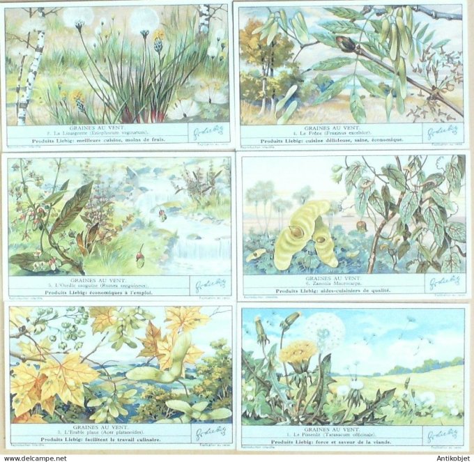 Chromo Liebig Sang 1344 Graines de vent (1936)