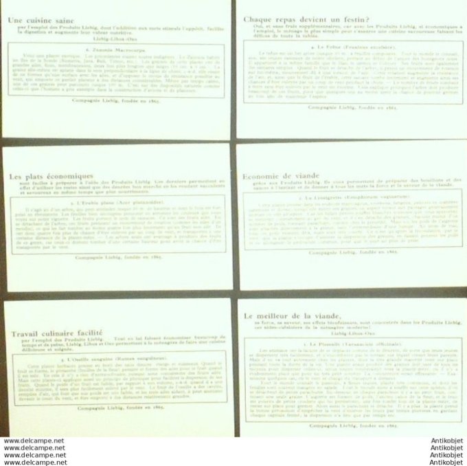 Chromo Liebig Sang 1344 Graines de vent (1936)