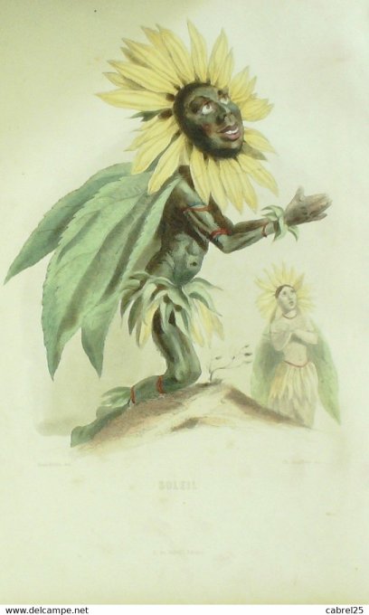 Grandville "Les Fleurs Animées" Soleil 1847