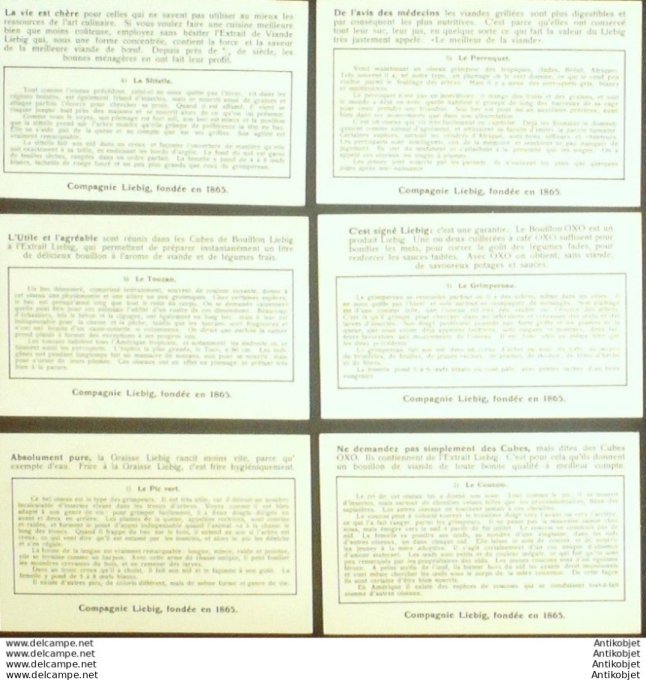 Chromo Liebig Sang 1365 Oiseaux grimpeurs (1937)