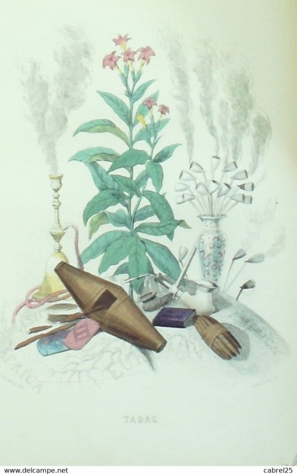 Grandville "Les Fleurs Animées" Tabac B 1847