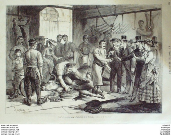 Le Monde illustré 1874 n°904 Le Mans (72) Rochefort (17) Angleterre Woolwich Japon Yokohama La Ville