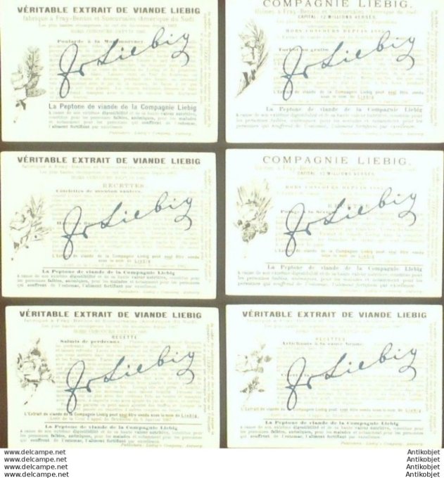 Chromo Liebig Sang  501 Arbres de differentes latitude (1897)