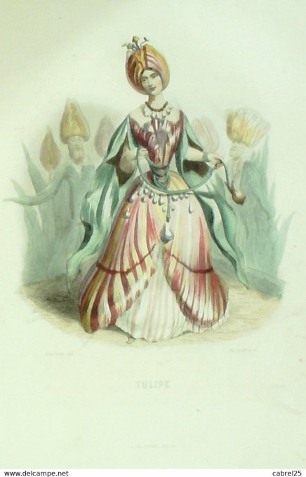 Grandville "Les Fleurs Animées" Tulipe 1847