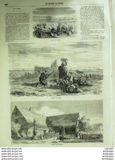 Le Monde illustré 1860 n°155 Maroc Tetuan Alcasabah Tourane Osaja Russie Choura Daguestan