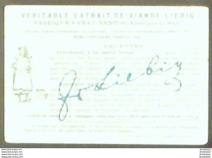 Chromo Liebig Sang  463 Tiel l'espiegle 1 (1895)