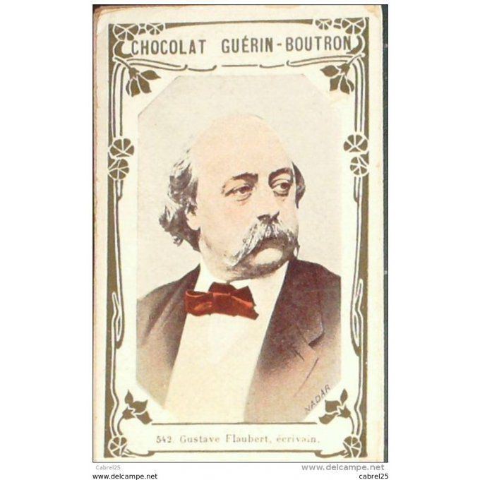 Flaubert Gustave Ecrivain 542