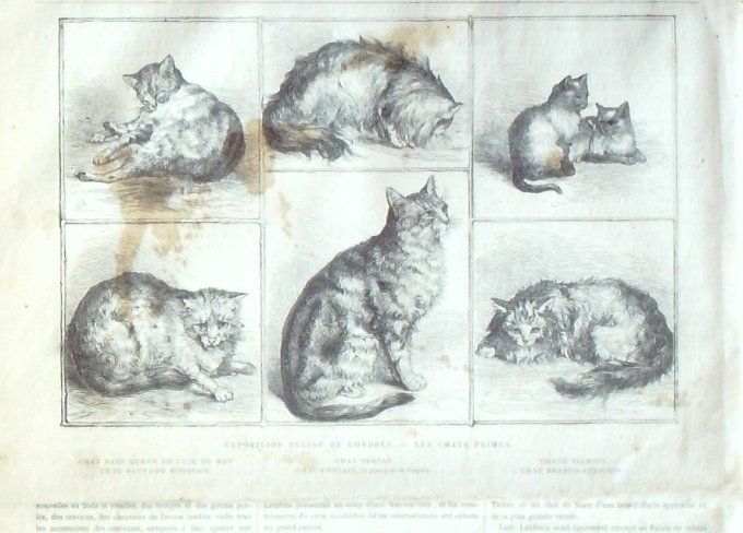 L'Univers illustré 1871 # 858 Strasbourg (67) Irlande Dublin Boulogne (92) Point-du-Jour