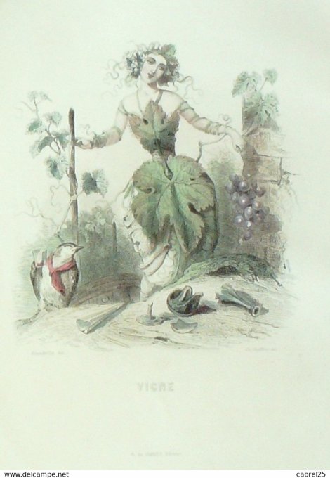 Grandville "Les fleurs animées" Vigne 1847