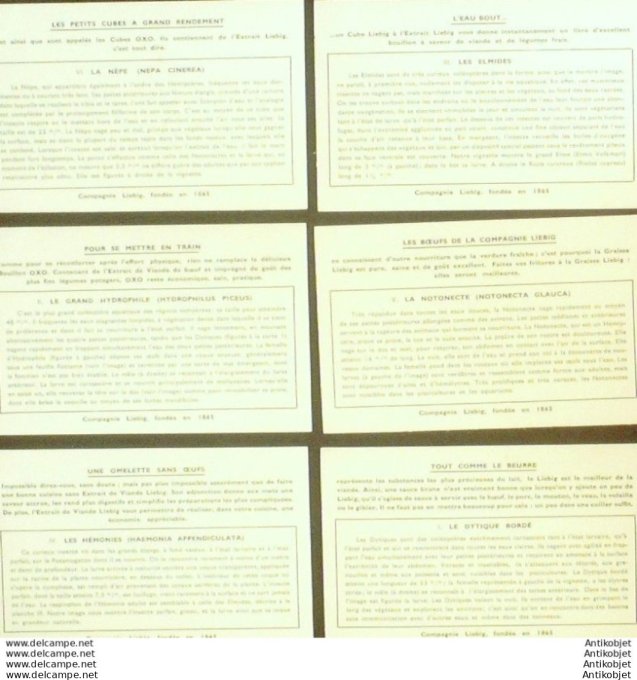 Chromo Liebig Sang 1357 Insectes vivants dans l'eau (1937)