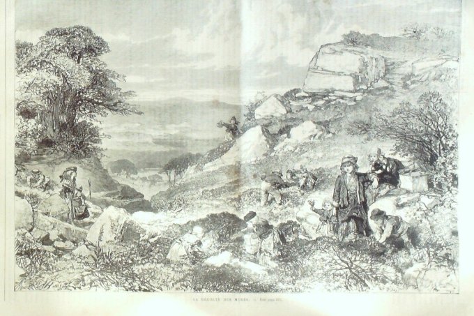 L'Univers illustré 1871 # 865 Versailles (78) Suisse Suse Etats-Unis Chicago Japon Kobé