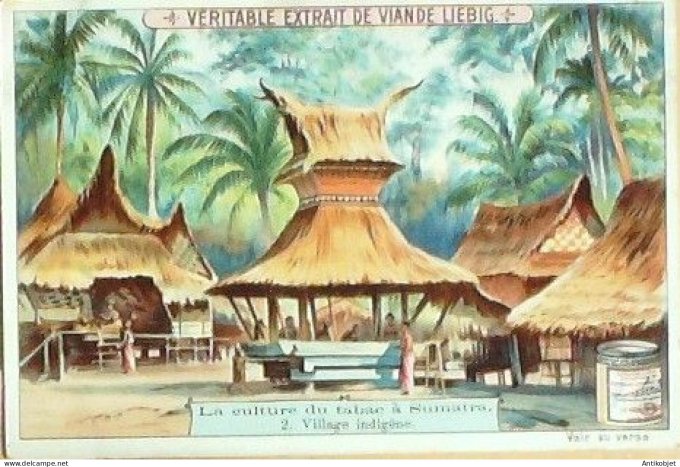 Chromo Liebig Sang  715 Culture du tabac a Sumatra IV (1902)
