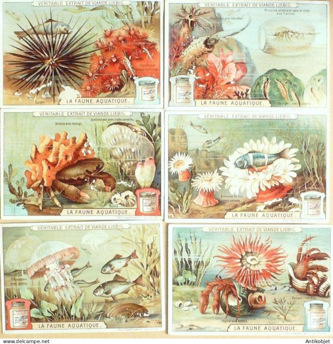 Chromo Liebig Sang  926 La faune aquatique (1908)