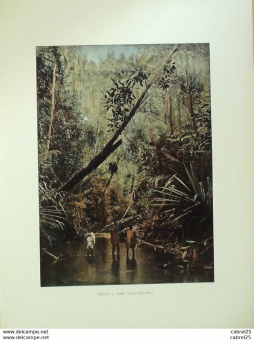 Madagascar Forêt vierge